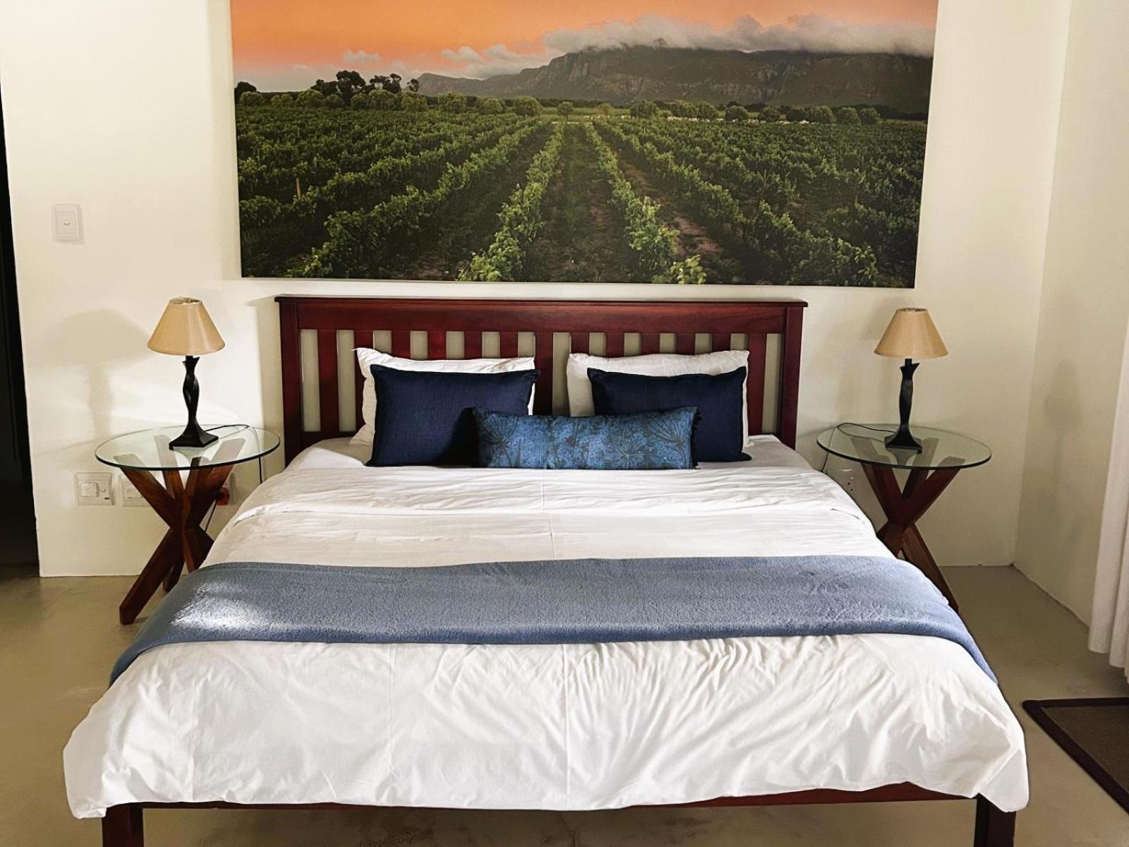 ホテル Springfontein Wine Estate スタンフォード 部屋 写真