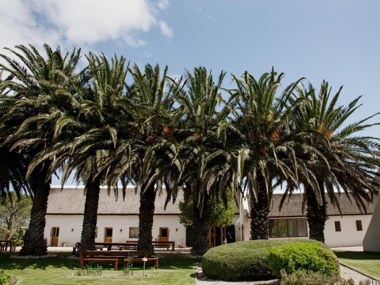 ホテル Springfontein Wine Estate スタンフォード エクステリア 写真