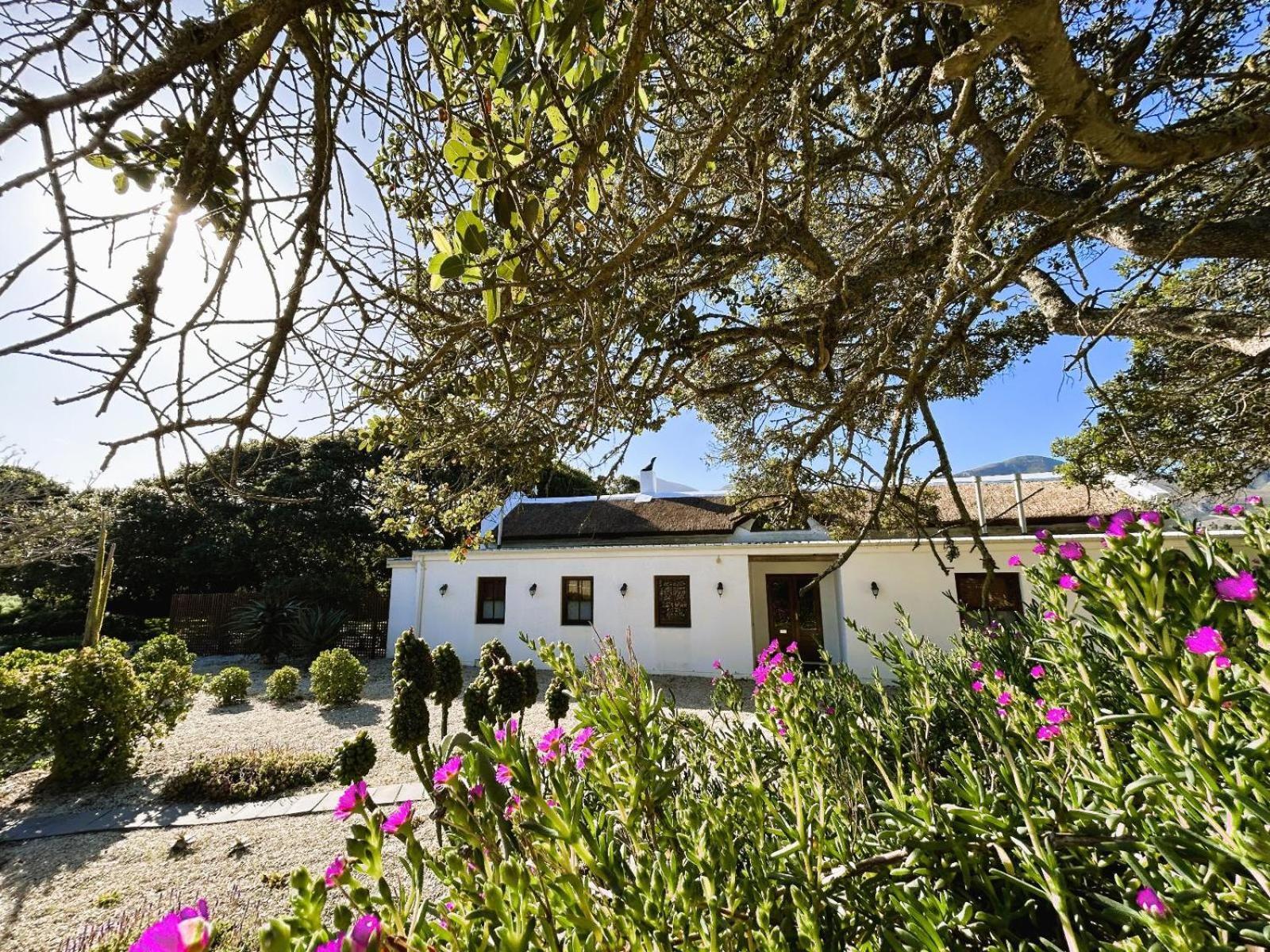 ホテル Springfontein Wine Estate スタンフォード エクステリア 写真